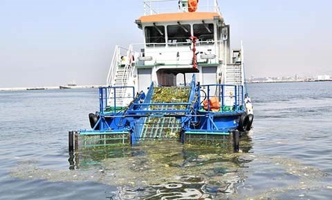 BİR KOKU BİN UYARI