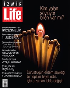 Şubat 2017
