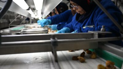 İzmir İl Tarım ve Orman Müdürlüğü bünyesinde, Karşıyaka İlçe Tarım