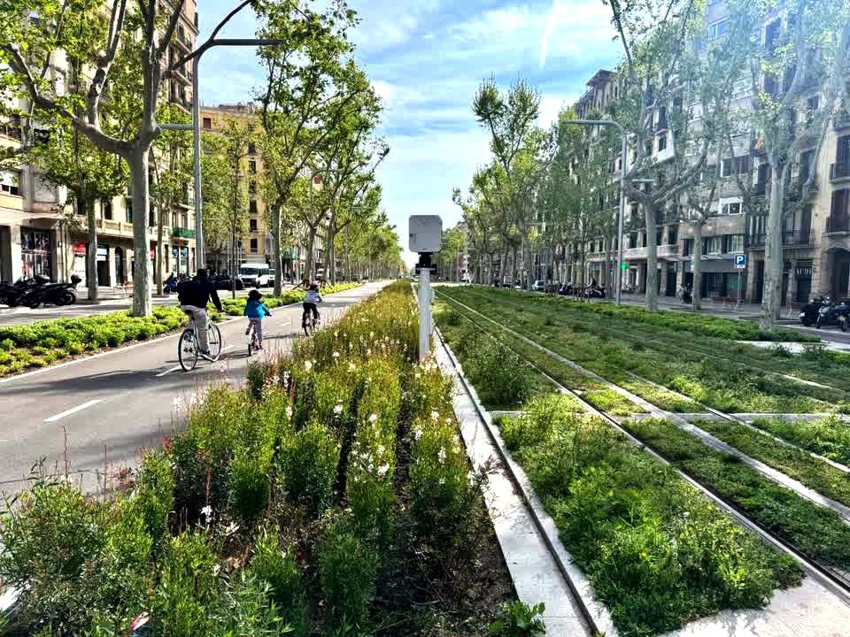 Paris’in 2030 yılı hedeflerinden yola çıkarak kentimize öneriler