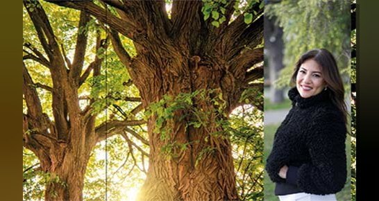 Aile dizimi uzmanı ve ilişki koçu Gül Çukur, Zeytin Ağacı