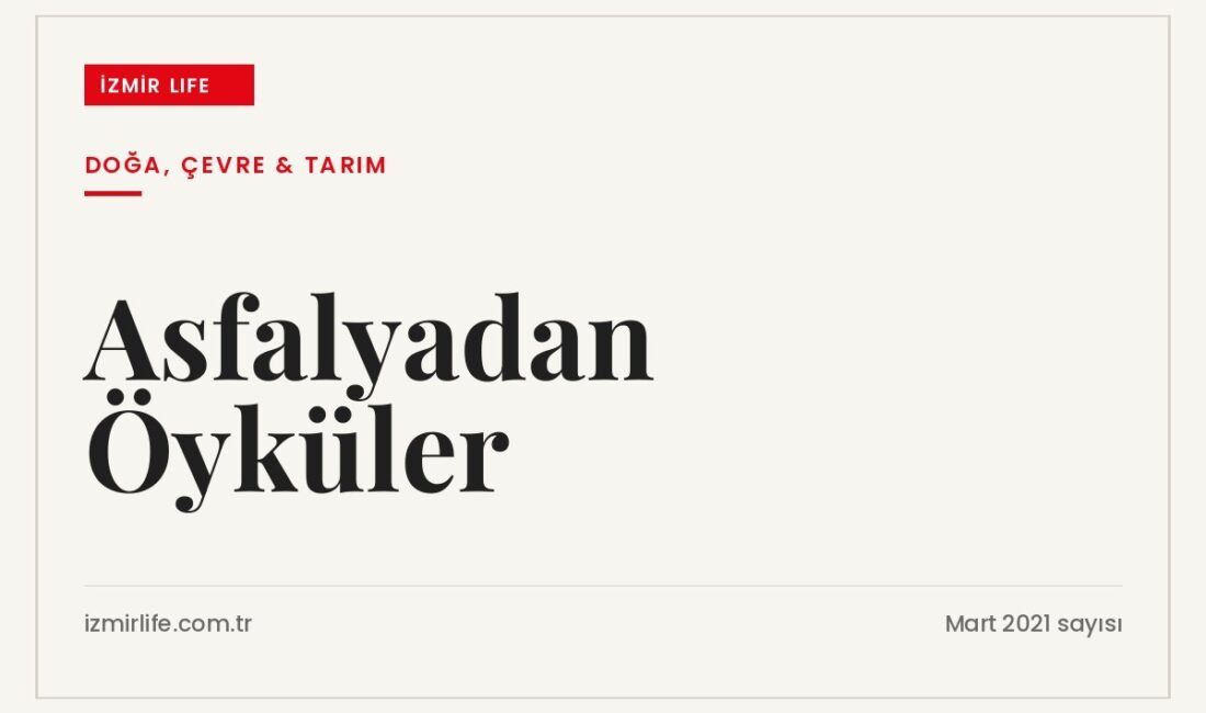 Asfalyadan Öyküler serisinde zincir markette yaşanan alışveriş üzerinden poşet kullanımına