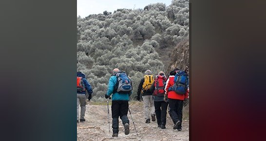 Yarımadada orman kampları, ören yerleri ve zeytinliklerden geçen Belevi-Mozelium-Şirince yürüyüş