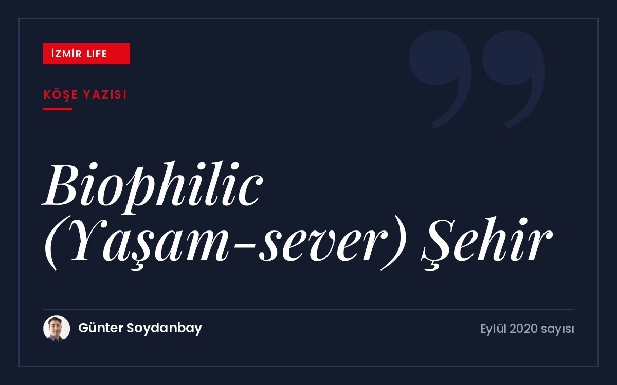 Büyük orman yangınının yıl dönümünde doğayla iç içe "yaşam-sever" (biophilic)