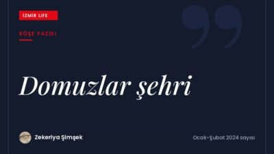 Bornova ve Balçova'da kente inen yaban domuzları ve bu hayvanın
