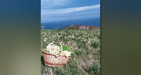 Doğayla bütünleşik yaşamı seçen Şadan Tütüncü'den ekolojik yaşama davet.