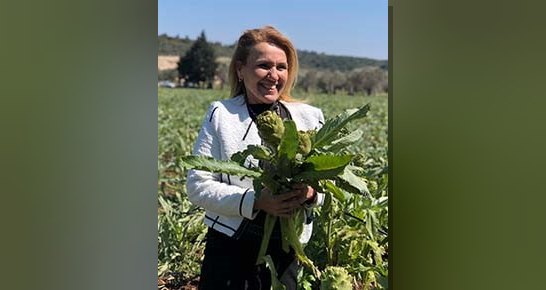 Tarlada kalan ürünlerini sosyal medyayla satışa çıkaran Urlalı kadınların enginar