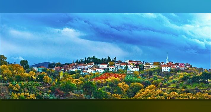 Antik çağdan günümüze Gödence ve Gödence Tarım Kooperatifi'nin zeytinyağı üretimiyle