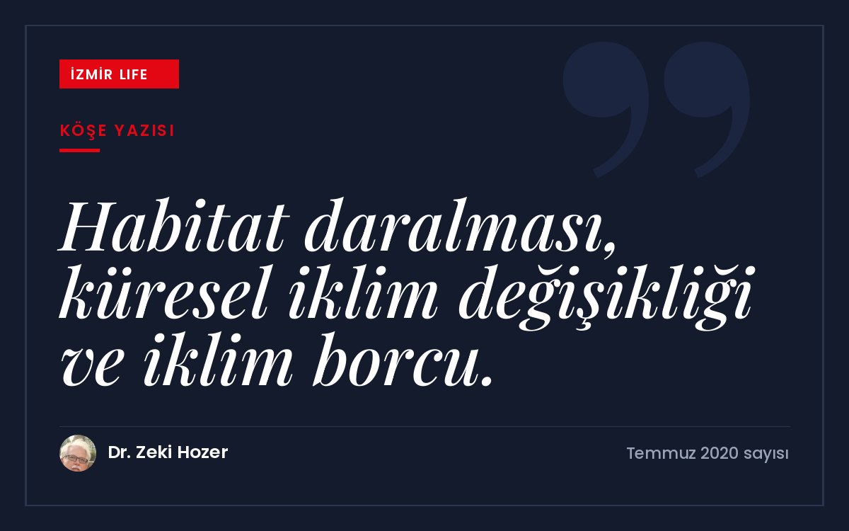 Arrhenius'tan bugüne küresel iklim değişikliği, habitat daralması ve "iklim borcu".