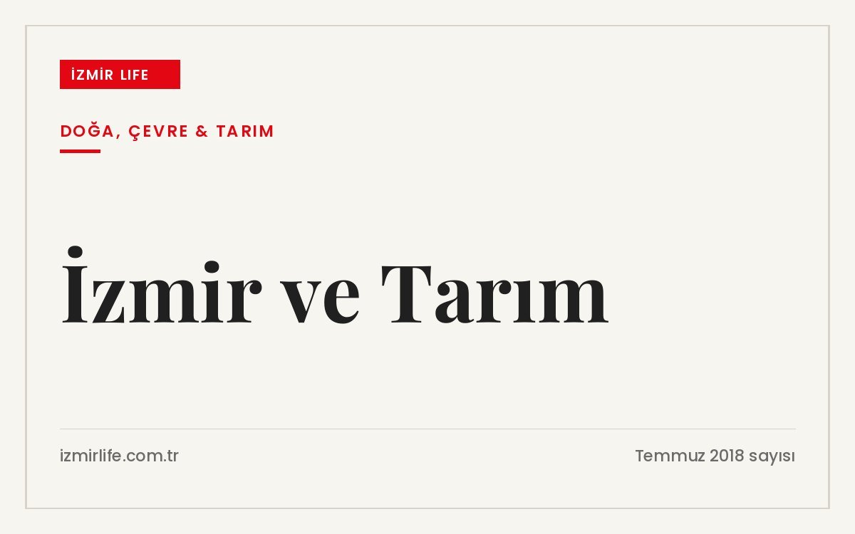 Prof. Dr. Yaşar Uysal'ın araştırmasına göre 2004-2017 döneminde yüzde 7,5