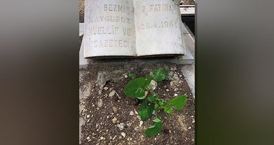 Giritli ve İzmirli gazeteci, yazar ve eğitimci Bezmi Nusret Kaygusuz'un