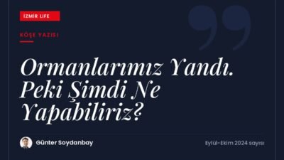 Üç gün süren İzmir orman yangınlarının ardından yanan alanlar için