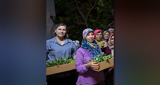 Bornova Belediyesi, gıda güvenliği ve yerel üreticiyi desteklemek için yerel