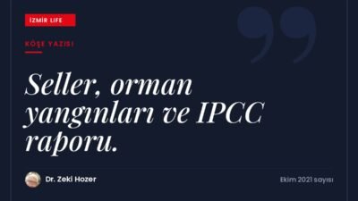 İklim değişikliğinin tetiklediği sel ve orman yangınları ile BM Hükümetlerarası