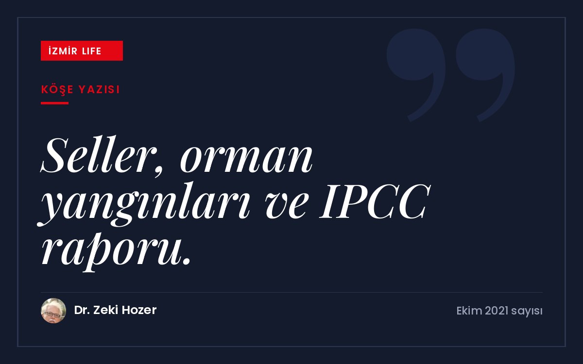 İklim değişikliğinin tetiklediği sel ve orman yangınları ile BM Hükümetlerarası