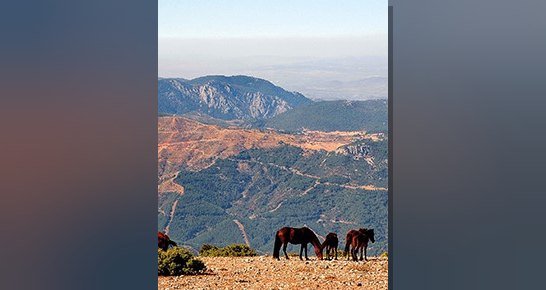 Bungalovların ötesinde yılkı atları, kanyon, mağara ve göletleriyle Spil Dağı