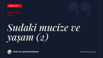 Su kristalleri ve olumlu ifadelerin enerjisi: sudaki mucize dizisinin ikinci