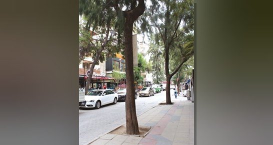 Üniversitenin etkisiyle her yaşa hitap eden mekanlarla gelişen Bornova Süvari