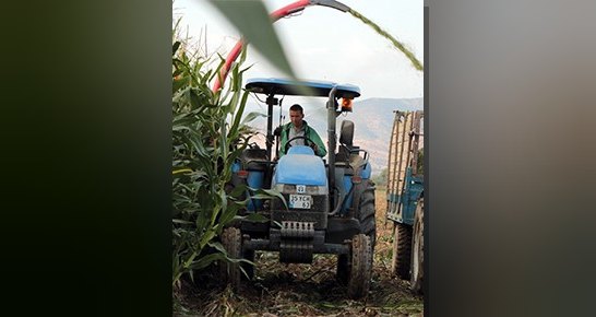 Mahmut Eskiyörük ile siyasetin gölgesinde kalan tarım ve hayvancılığın geleceğimiz