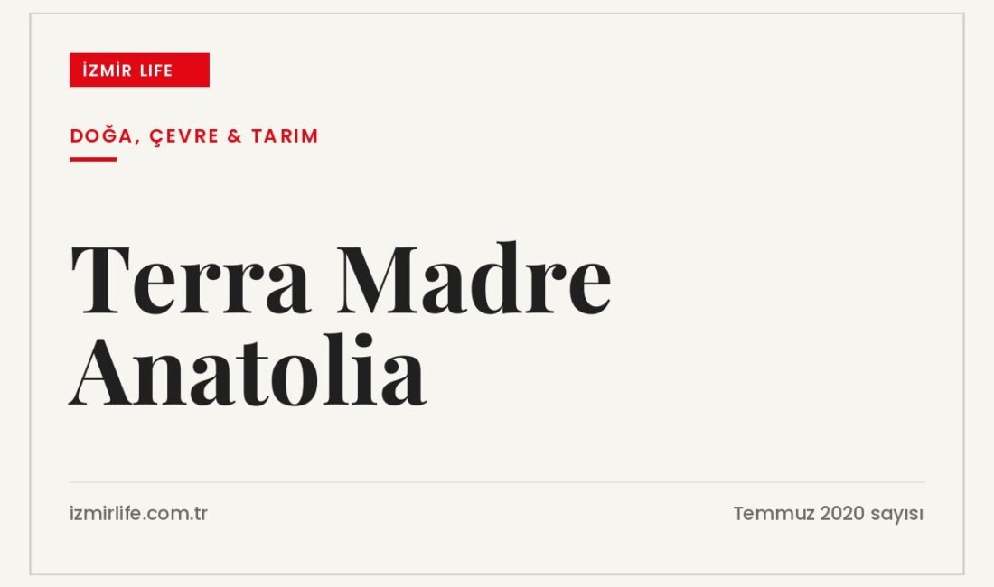 İzmir'de planlanan Terra Madre Anatolia'nın ertelenmesi ve Terra Madre 2020'nin