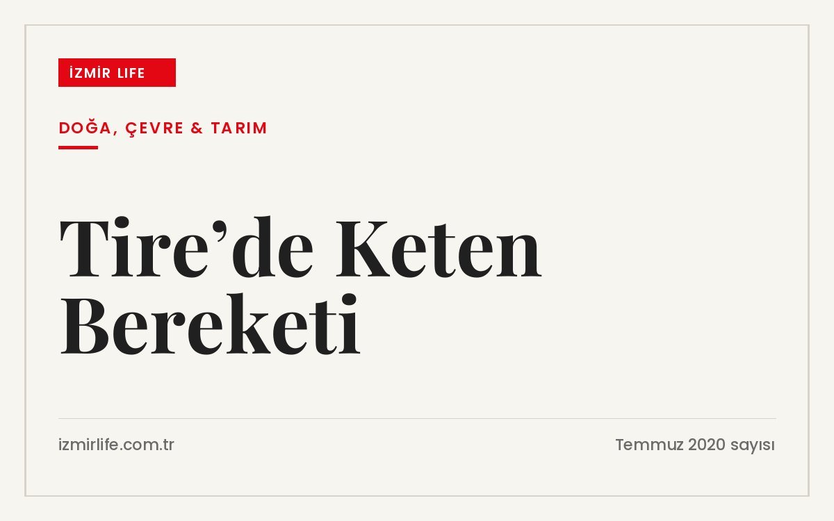 Tire Belediyesi ile Döngü Kooperatifi işbirliğinde deneme amaçlı ekilen ketenin