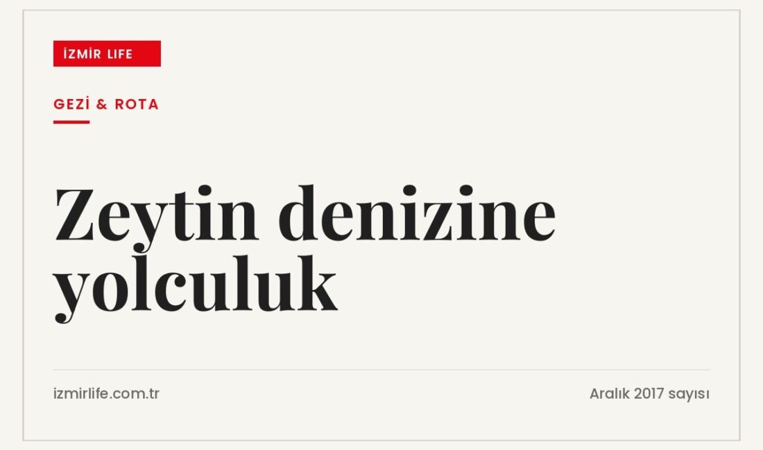 Saipler, Bozköy, Çakırbeyli ve Dağkızılca köylerini kapsayan zeytinlikler arasında bir