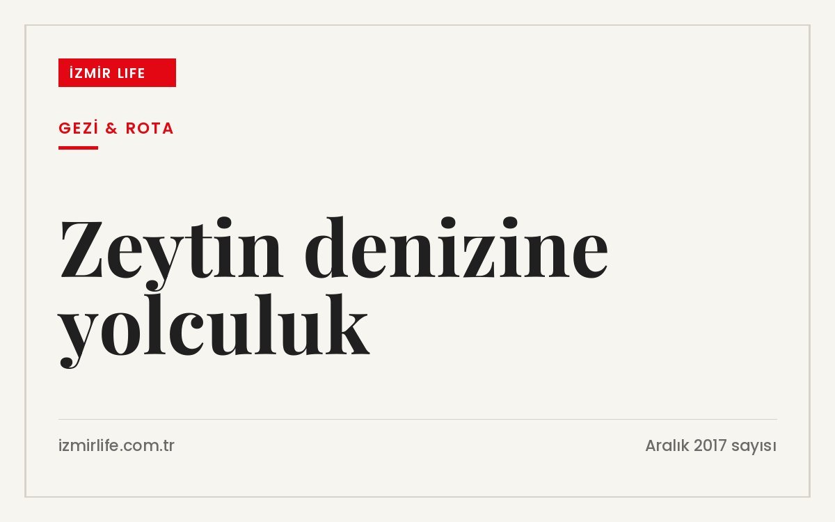 Saipler, Bozköy, Çakırbeyli ve Dağkızılca köylerini kapsayan zeytinlikler arasında bir